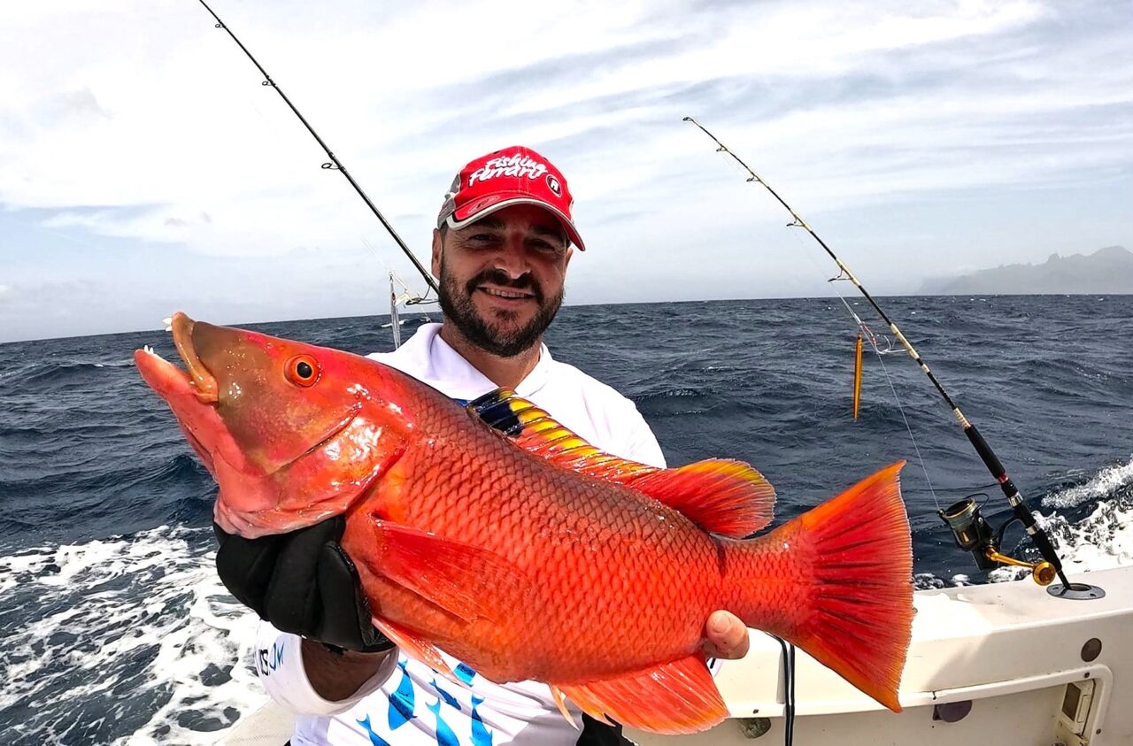 pesce rosso 800